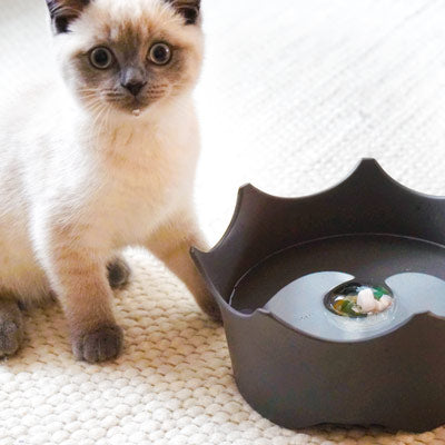 CrownJuwel | Pet Water Dish